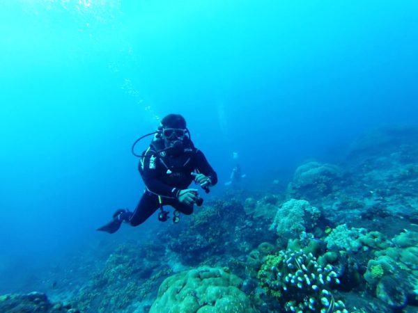 Boat diving in Havelock