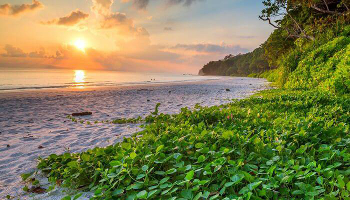 Havelock Island Destination Image Radhanagar Beach