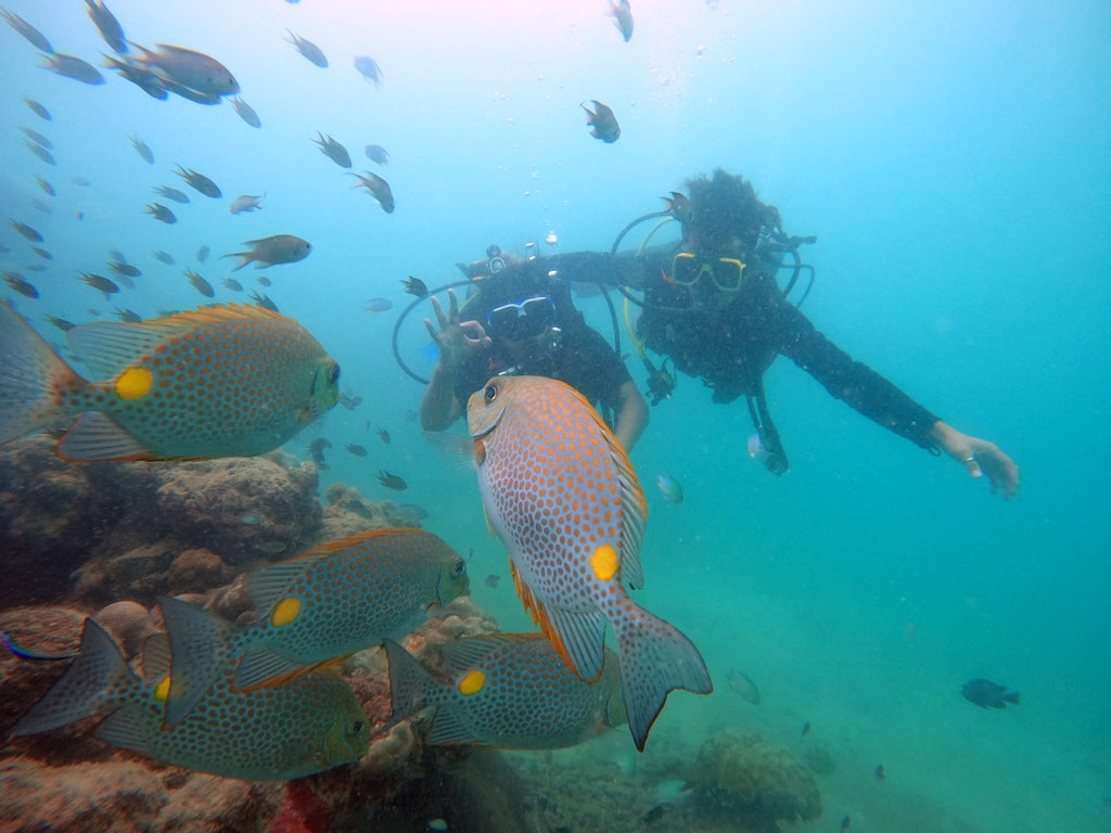 diving in havelock